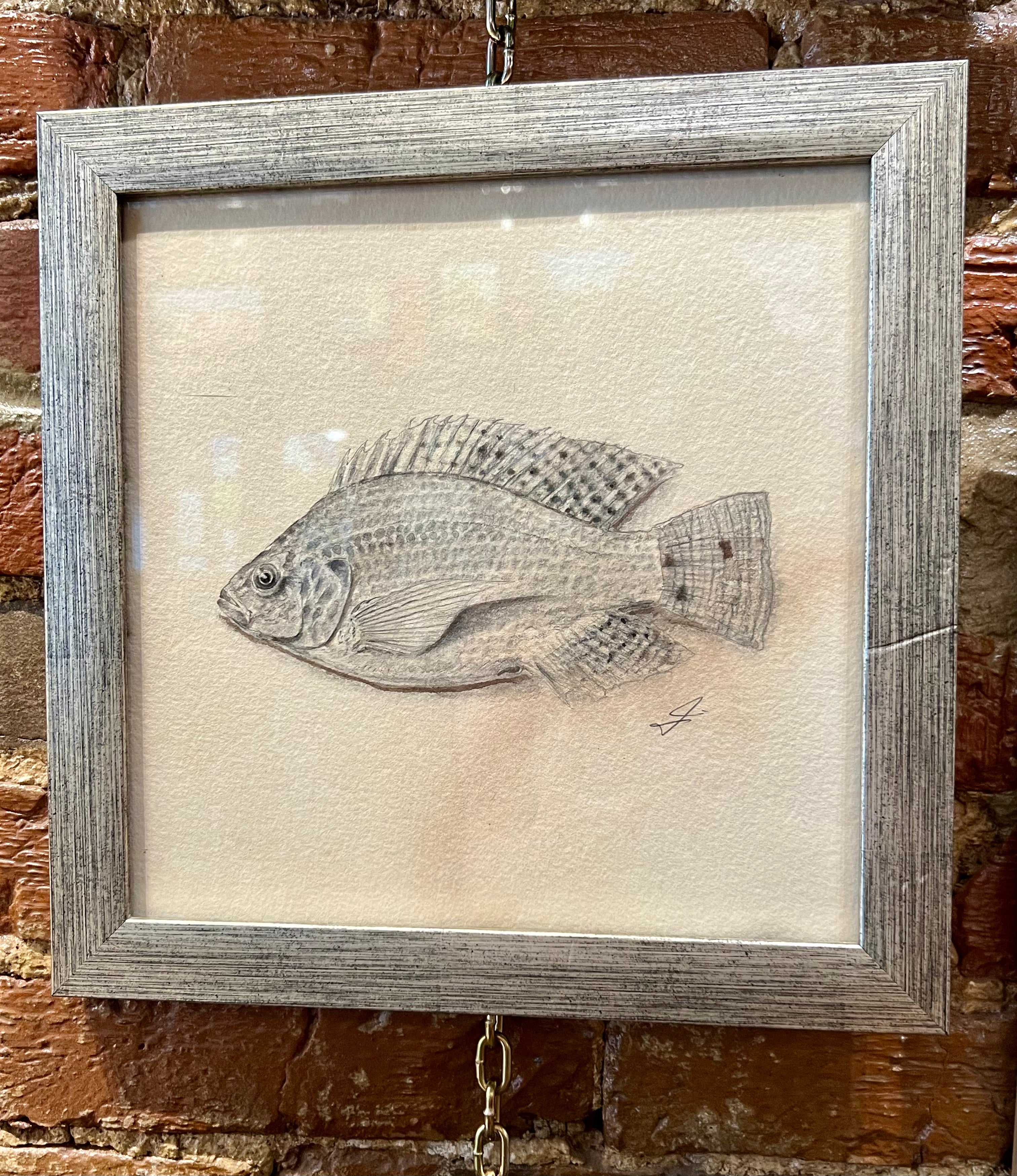 Fish - J. Pfeffer